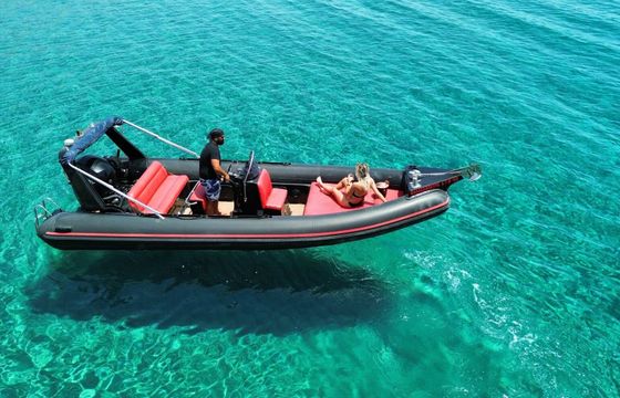 RIB PROTEUS 2022 150hp