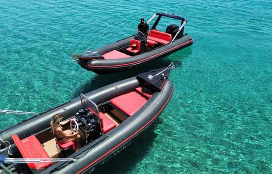 RIB PROTEUS 2022 150hp