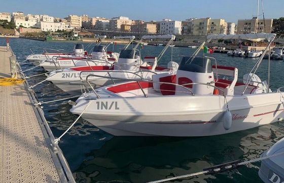 Motorboat Blumax Open 19 40hp