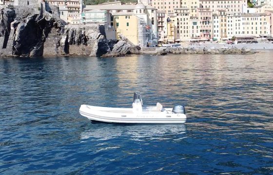 Boat without licence  Capelli Capelli Tempest 530 40cv 40hp