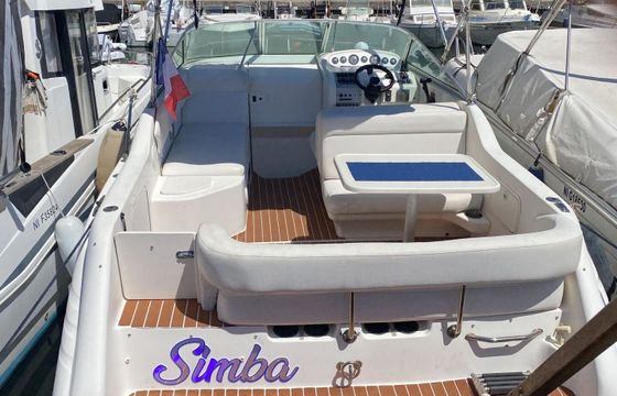 Motorboat Sea Ray 250 245hp