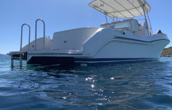 Motorboat Firebird F36 700hp