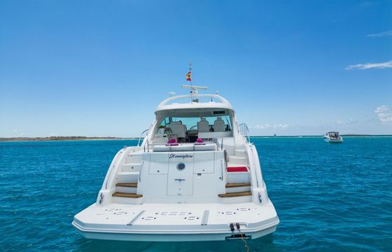 Motor yacht Sea Ray Sundancer 55 1412hp