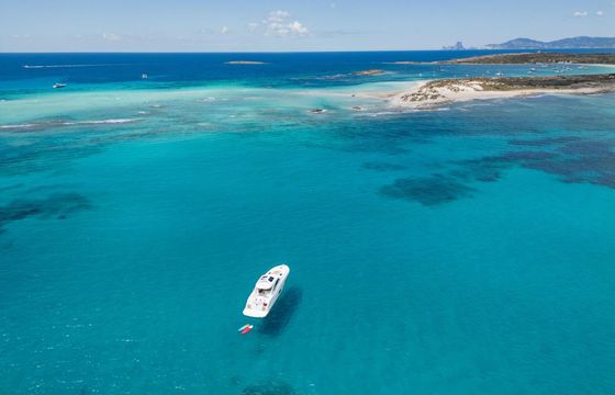 Motor yacht Sea Ray Sundancer 55 1412hp