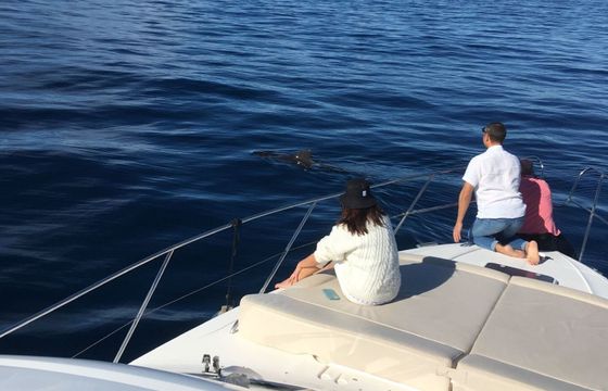 Motor yacht Princess 440 649hp