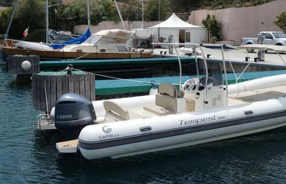 RIB Capelli 900 SUN 250hp