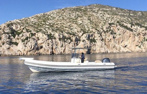 RIB Capelli 900 SUN 250hp