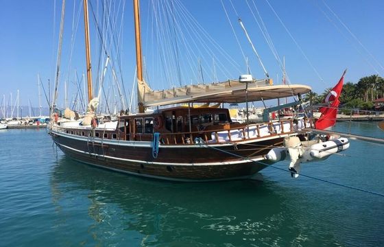 Gulet Custom Luxury 6 cabins 28m