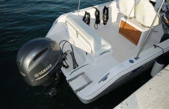 Motorboat ELAN 650 Cabin 150hp