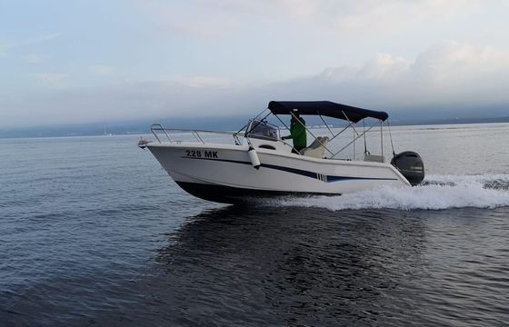 Motorboat ELAN 650 Cabin 150hp