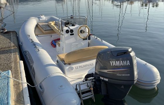 Motorboat Capelli Tempest 80hp