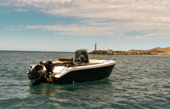 Motorboat Poseidon Blu water 185 60hp