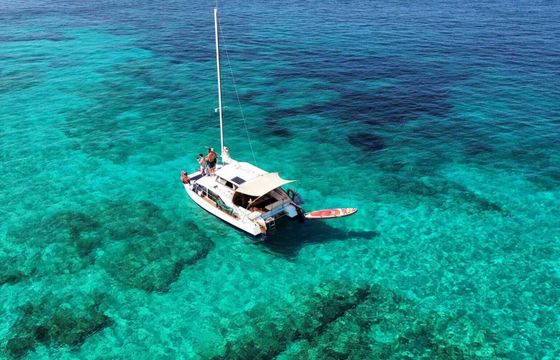 Catamaran J.K Pipe & Sons LTD BobCat Catamaran 8M 8m