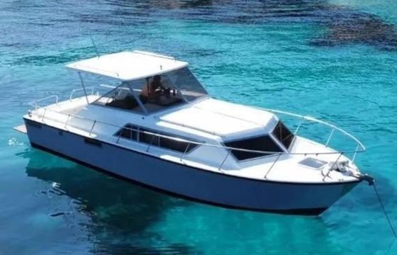 Motorboat AIFO spa FIAT 806 SM 40hp