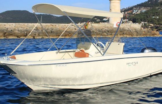 Motorboat Invictus FX190 115hp