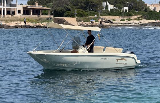 Motorboat Invictus FX190 115hp