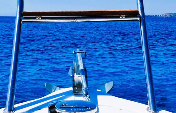 Motorboat Marion 605-2 Ciutadella 115hp