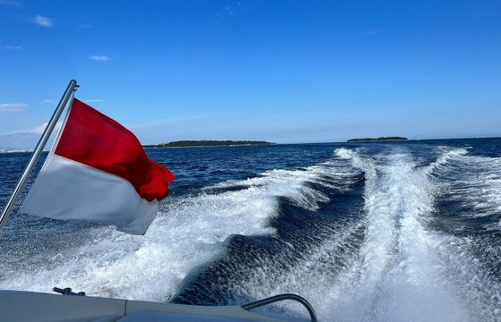 Motor yacht Sunseeker Hawk 34 520hp