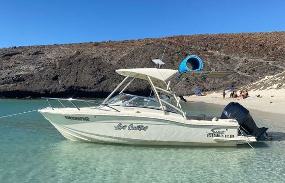 Motorboat Scout 2006