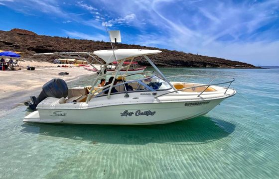 Motorboat Scout 2006