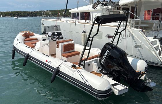 Motorboat Viga Deluxe 760 250hp