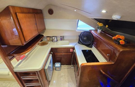 Motorboat Shaali 2018 500hp