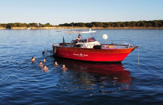 Motorboat Taranto Boat Gozzo Sorrentino 400hp