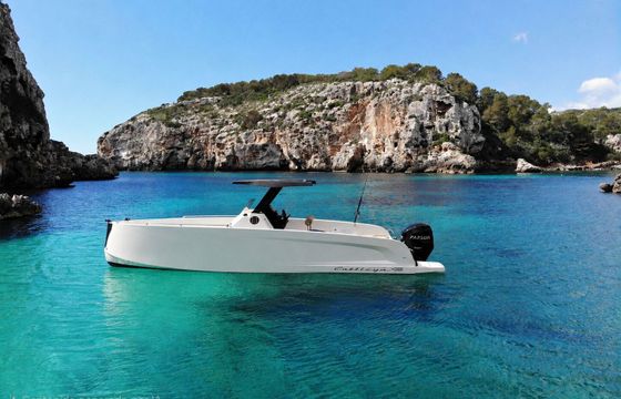 Motorboat cattleya x6 115hp