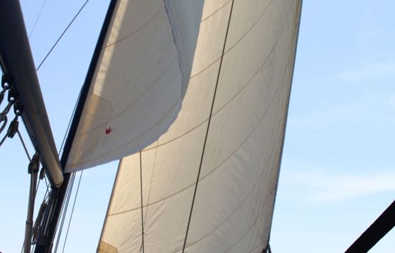 Sailboat Alfa 56 16.4m