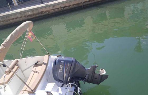 Motorboat polyester yacht s. c. marion 630 cabine 115hp