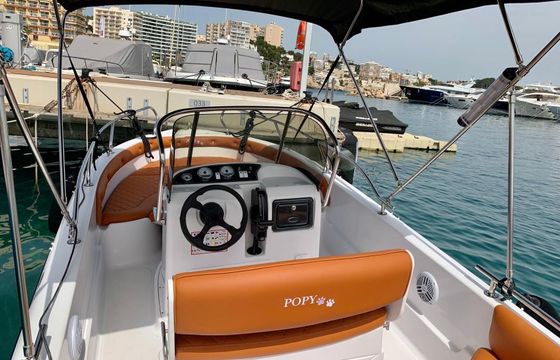 Motorboat Ranieri Voyaguer 19 100hp