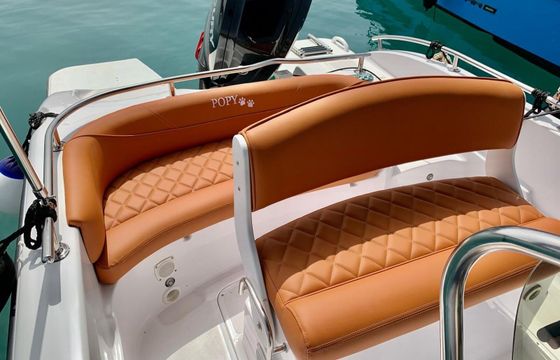 Motorboat Ranieri Voyaguer 19 100hp