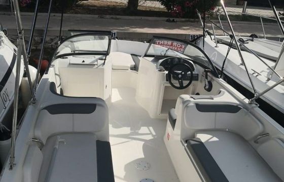 Motorboat Bayliner Element 140hp