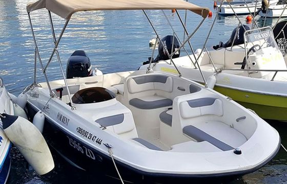 Motorboat Bayliner Element 140hp