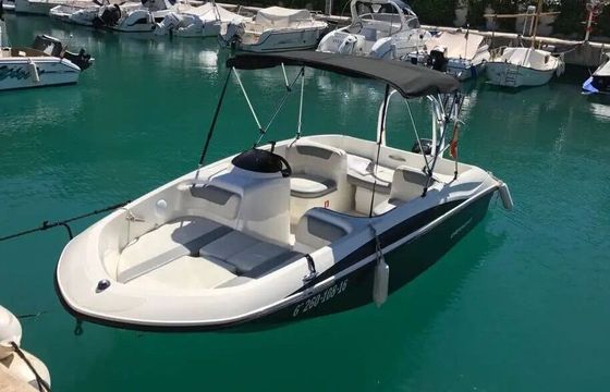 Motorboat Bayliner Element 140hp