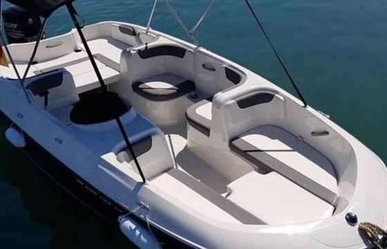 Motorboat Bayliner Element 140hp