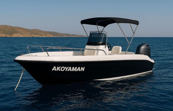 Boat without licence  Poseidon 170