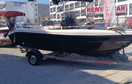Boat without licence  Poseidon 170