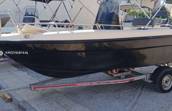 Boat without licence  Poseidon 170