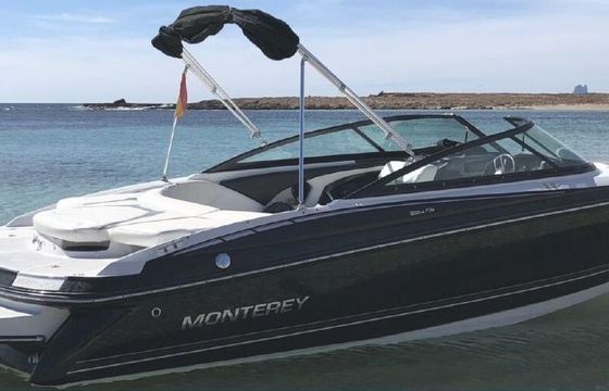Motorboat Monterey 224 Fs 250hp