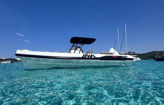 RIB Bwa 308 Gto 350hp