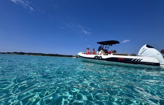 RIB Bwa 308 Gto 350hp