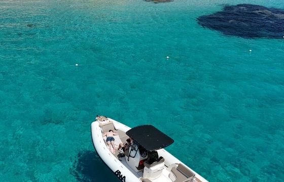 RIB Bwa 308 Gto 350hp