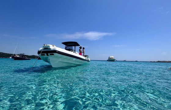 RIB Bwa 308 Gto 350hp