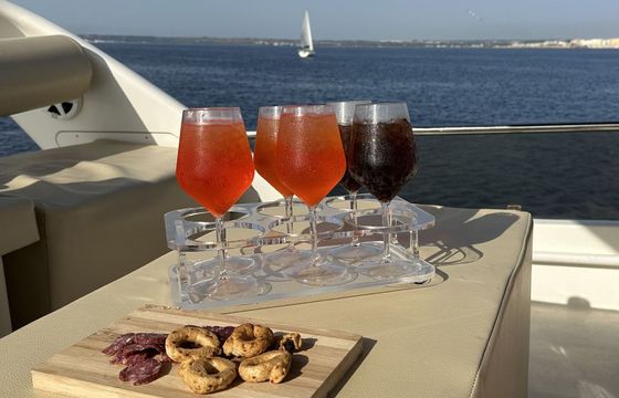 Motorboat Marine Enterprise Sunquest 38 550hp