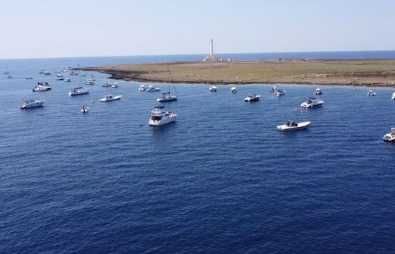 Motorboat Marine Enterprise Sunquest 38 550hp