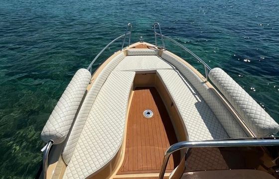 Motorboat ISATEK TEKNE COBRA 495 30hp