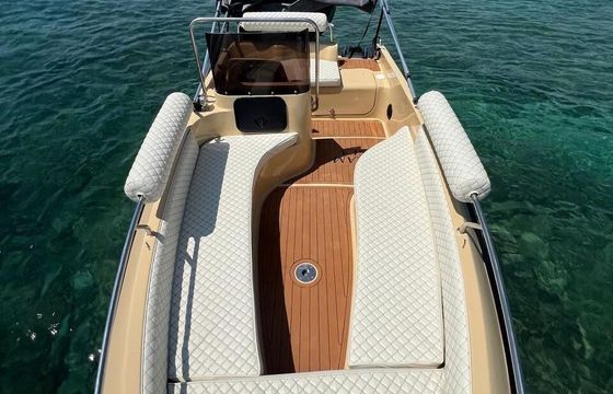 Motorboat ISATEK TEKNE COBRA 495 30hp