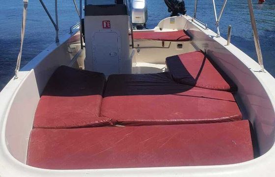 Boat without licence  Poseidon 510 30hp