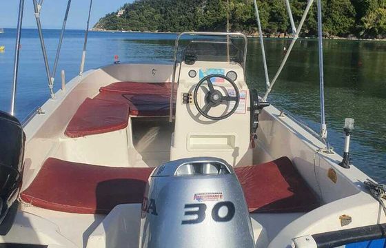 Boat without licence  Poseidon 510 30hp